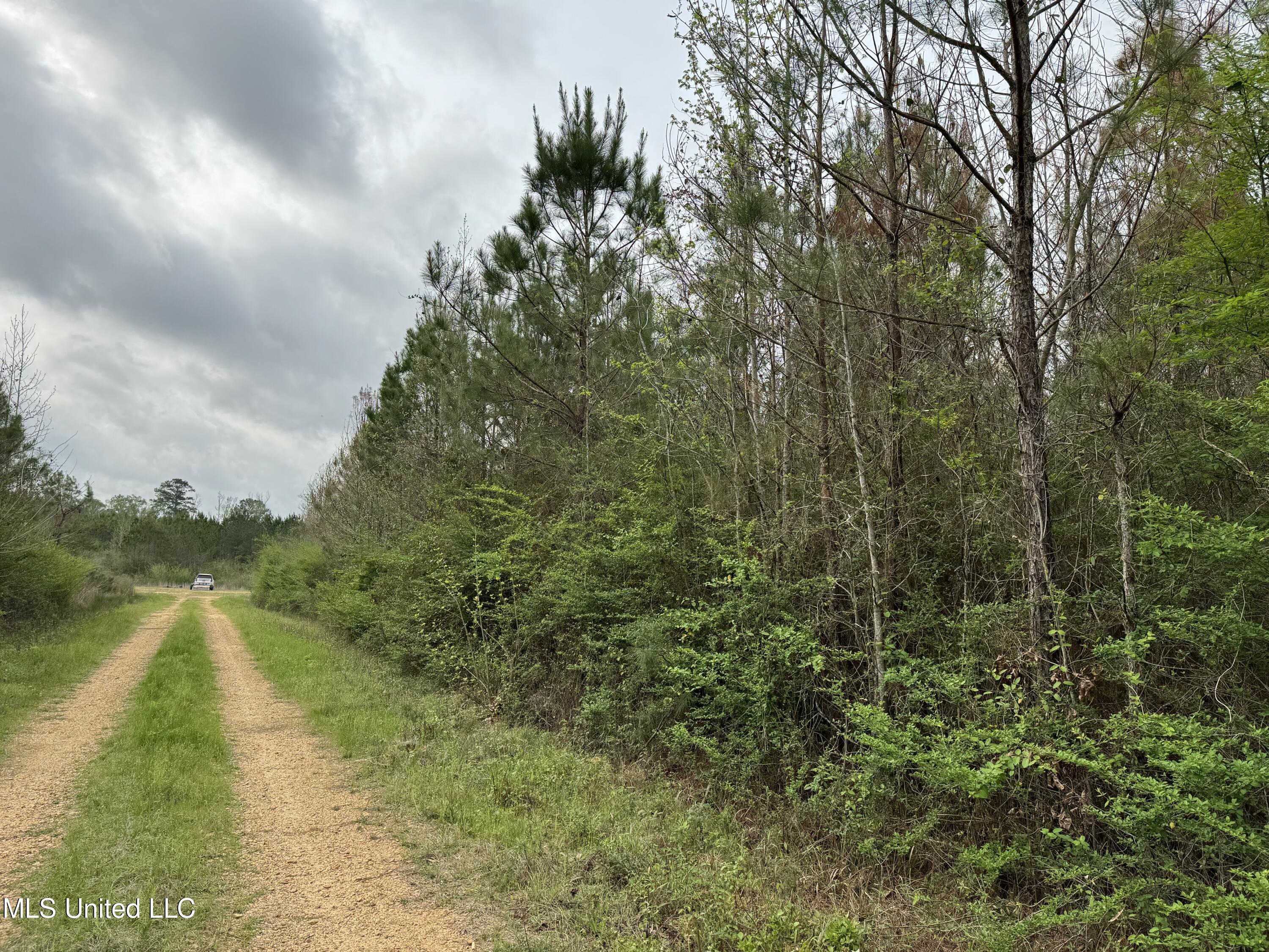 1950 NW Oakwood Ln Lane, Brookhaven, Mississippi image 10