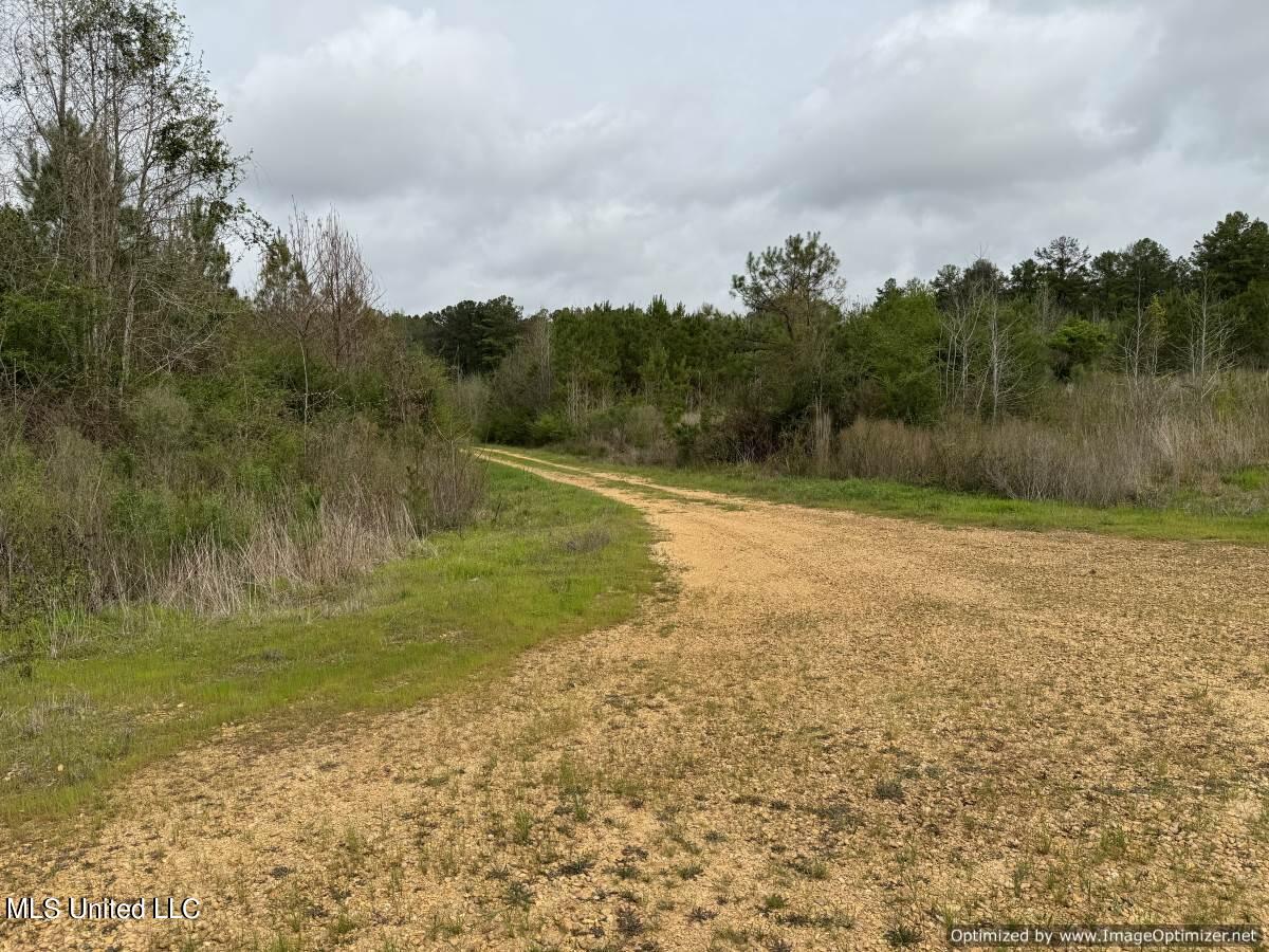 1950 NW Oakwood Ln Lane, Brookhaven, Mississippi image 22