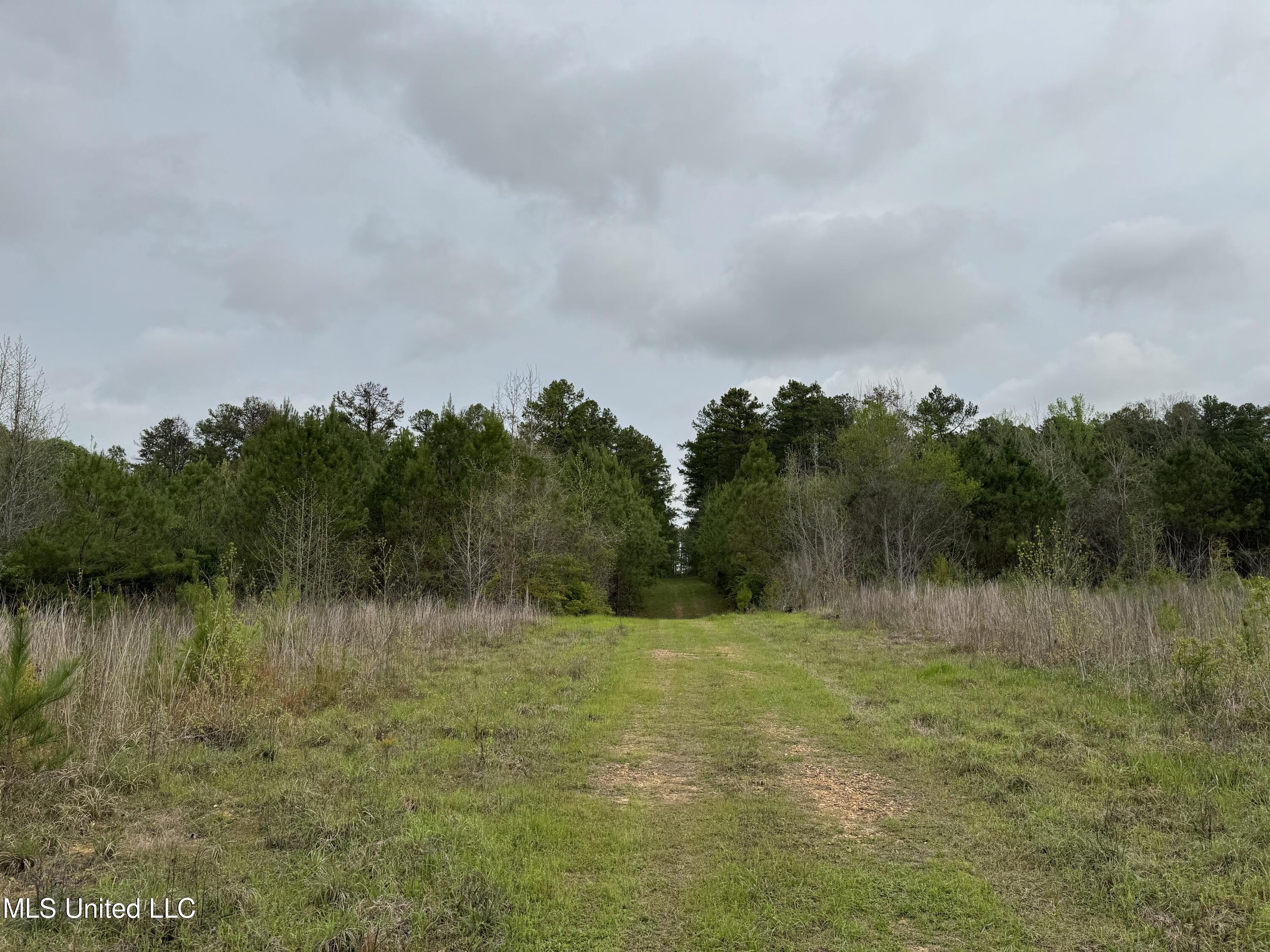 1950 NW Oakwood Ln Lane, Brookhaven, Mississippi image 12