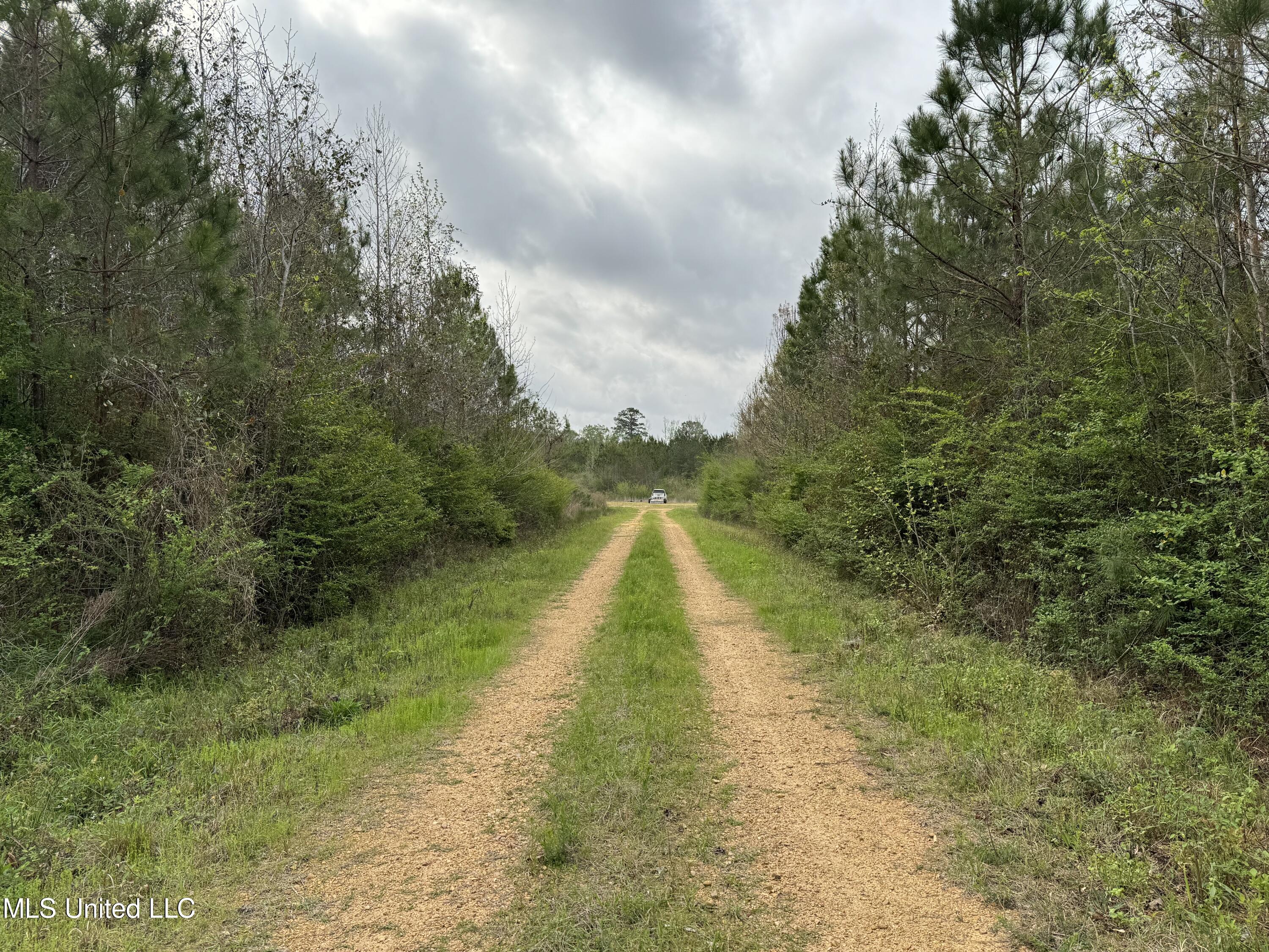 1950 NW Oakwood Ln Lane, Brookhaven, Mississippi image 11