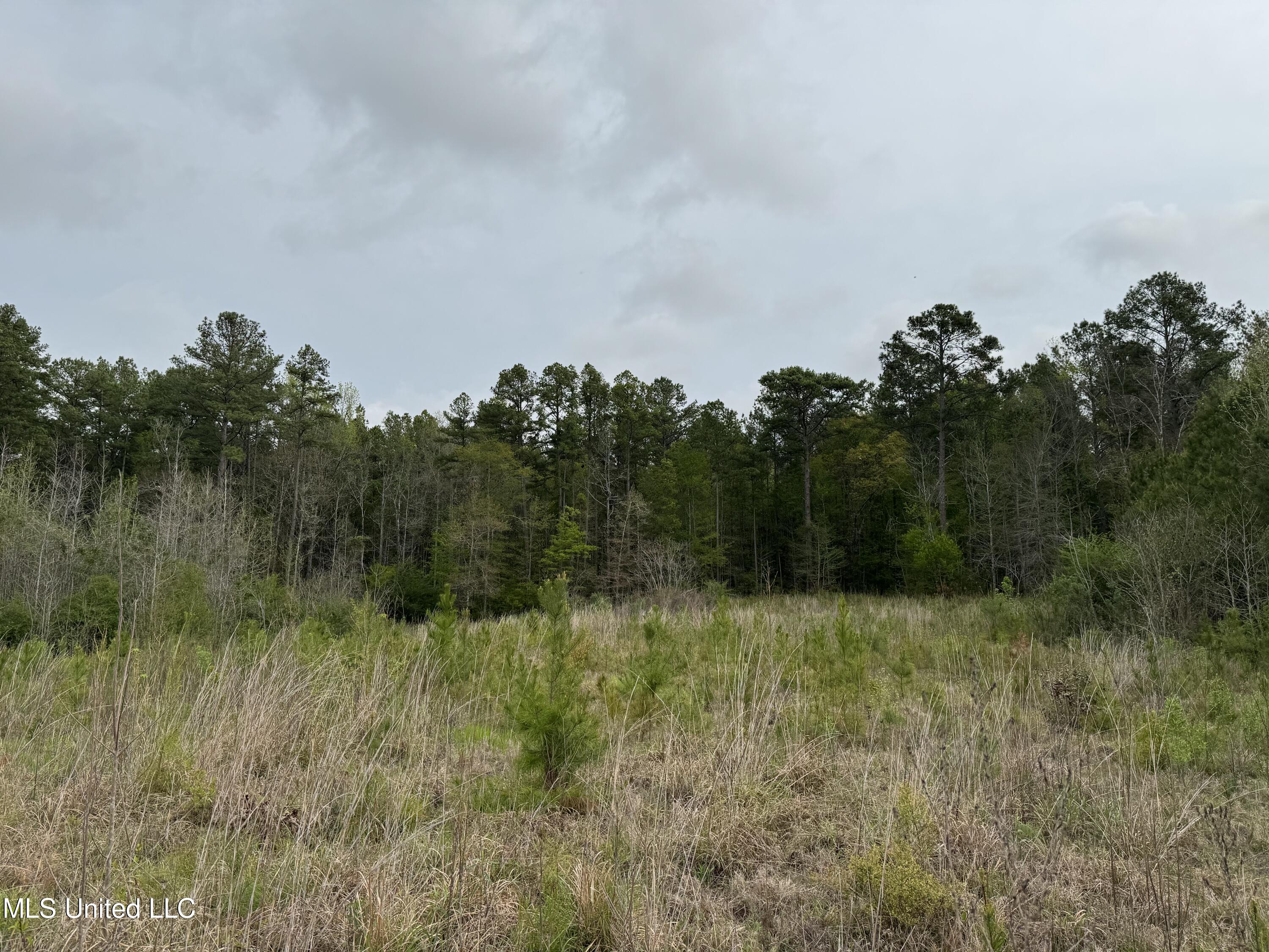 1950 NW Oakwood Ln Lane, Brookhaven, Mississippi image 1