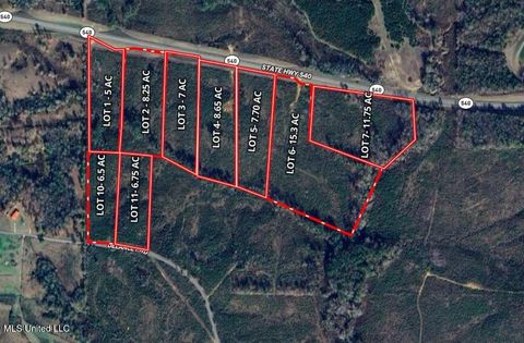 Vacant Land For Sale - Delancey Rd<br/> Braxton, MS 39044