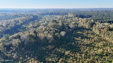 Vacant Land For Sale - Hwy 15<br/> Neshoba County, Union, MS 39365