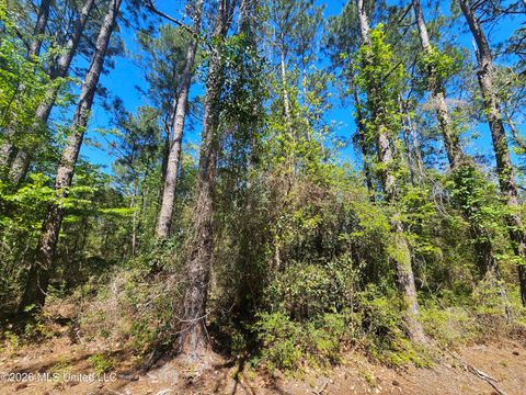 Vacant Land For Sale - NHN E Carroll Street<br/> Hancock County, Bay Saint Louis, MS 39521