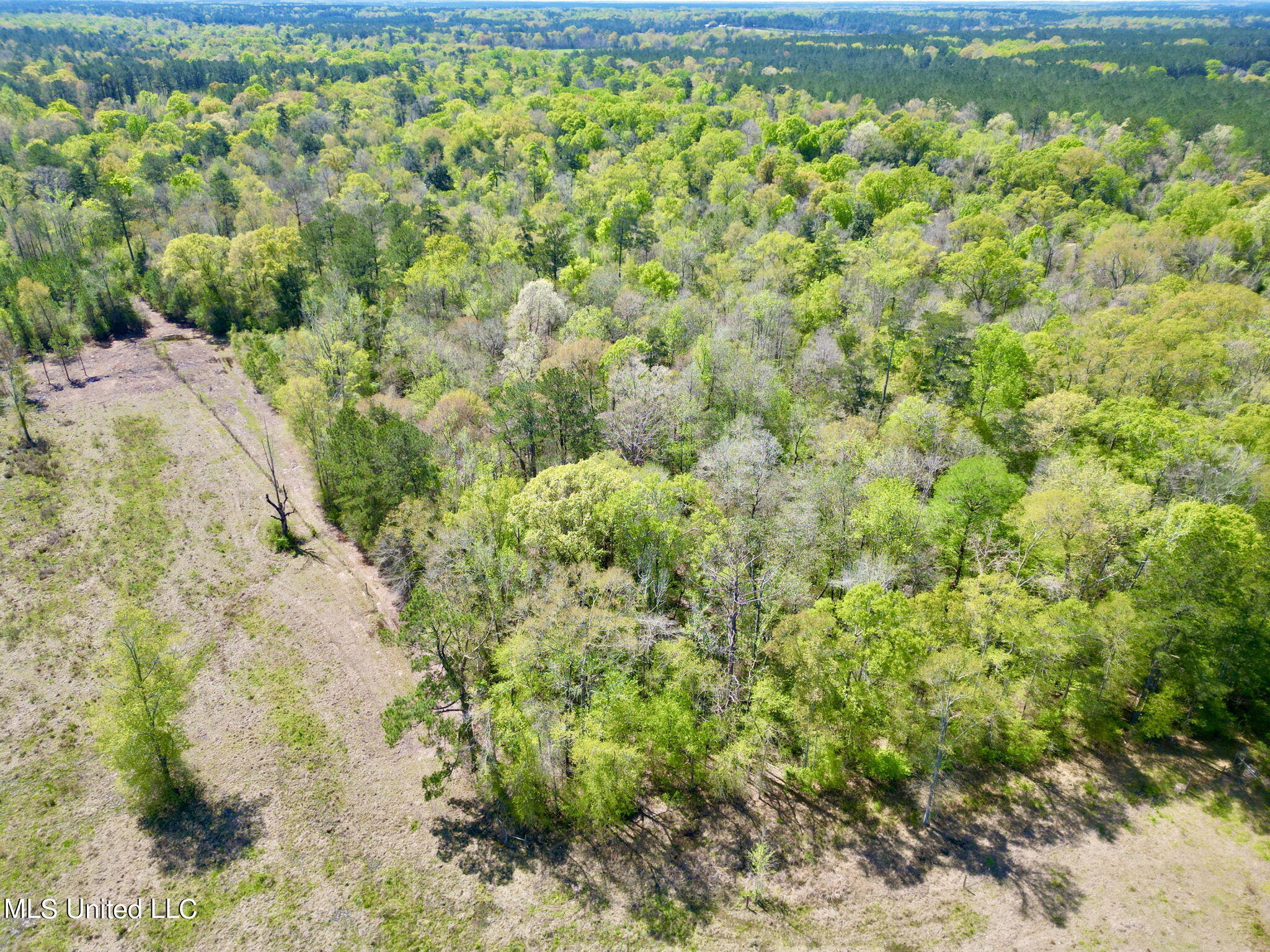 Egg Farm Road, Poplarville, Mississippi image 10