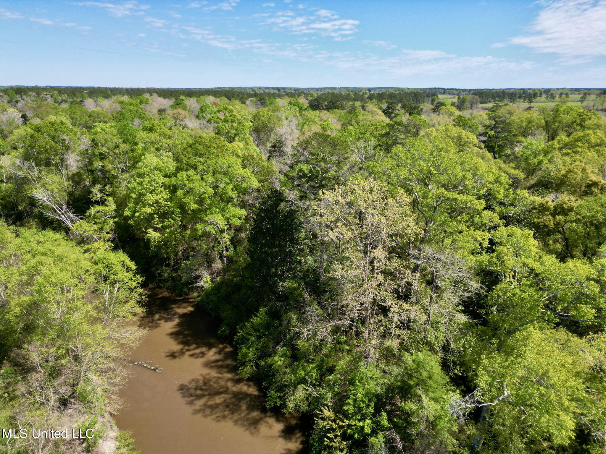 Egg Farm Road, Poplarville, Mississippi image 13