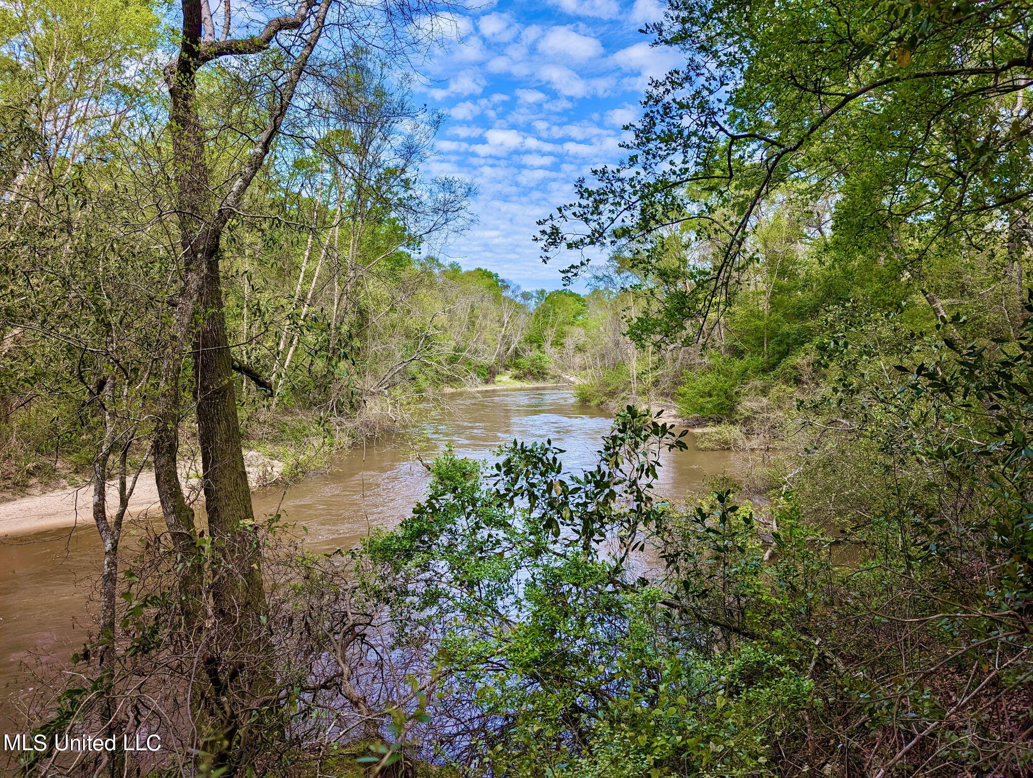 Egg Farm Road, Poplarville, Mississippi image 1