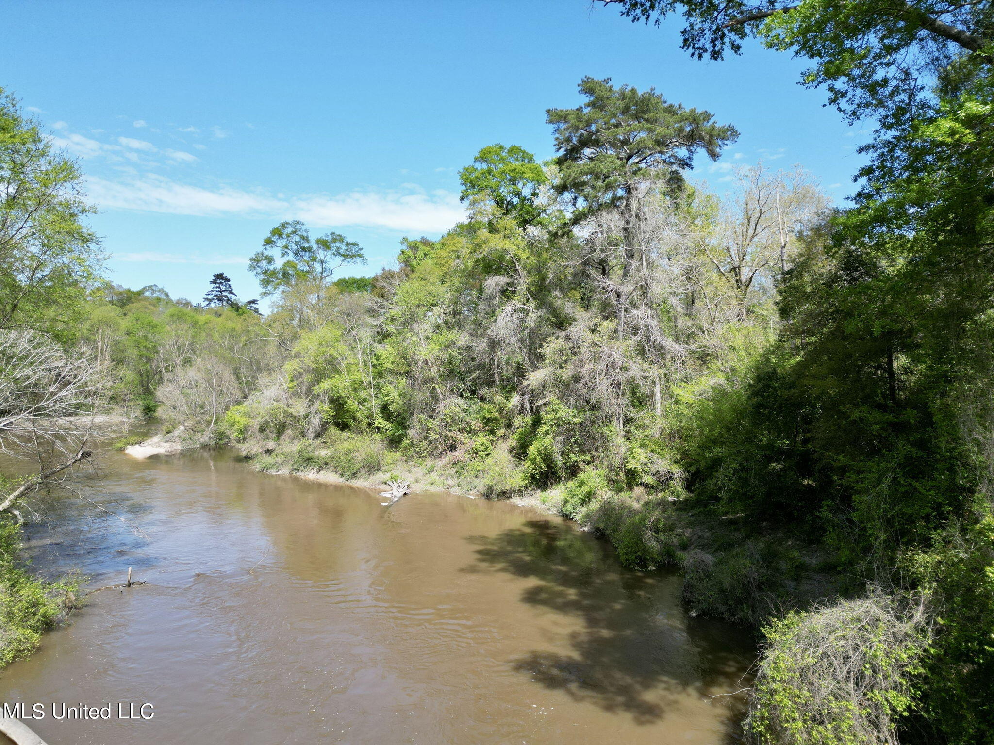 Egg Farm Road, Poplarville, Mississippi image 8