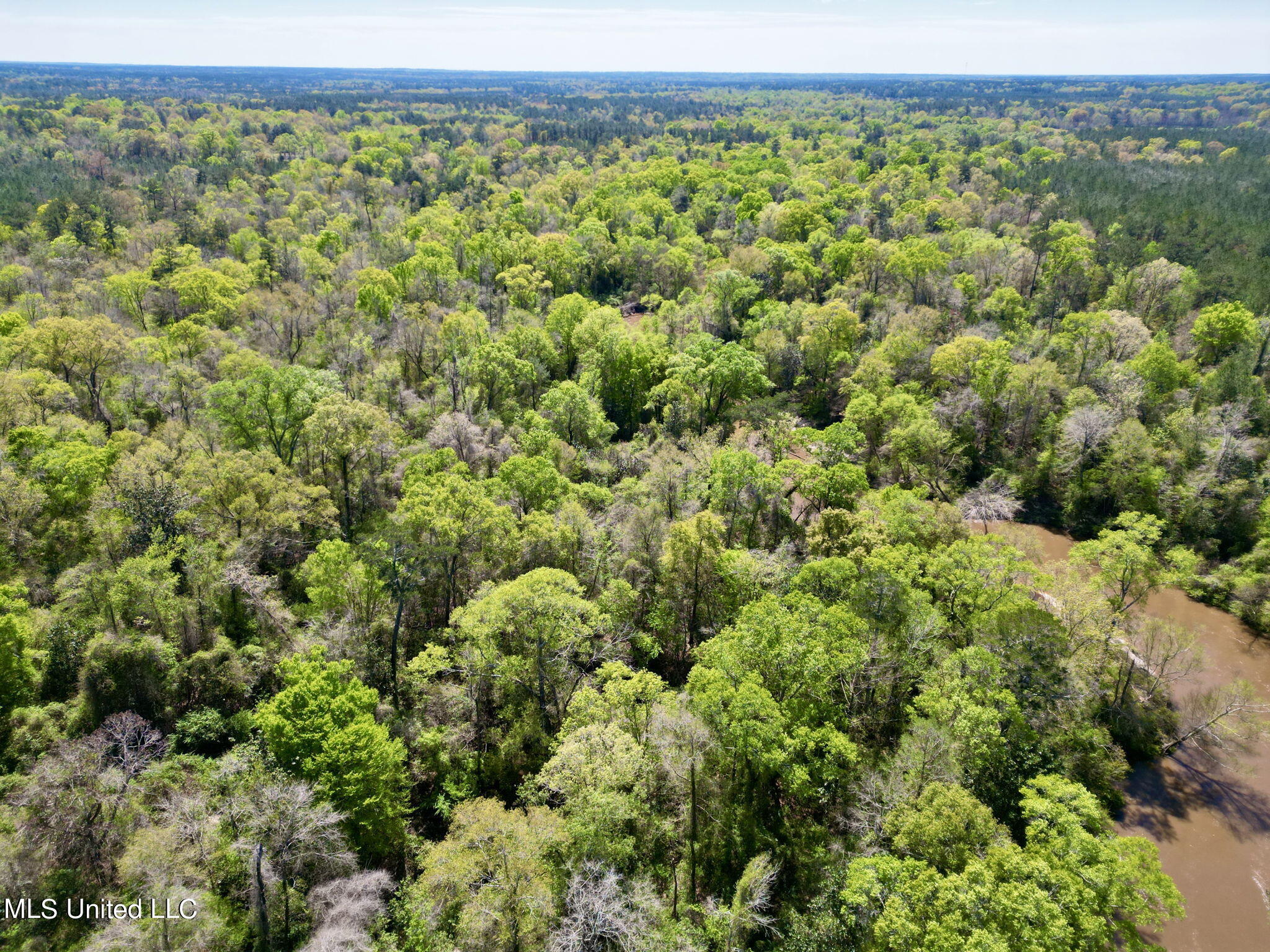 Egg Farm Road, Poplarville, Mississippi image 3