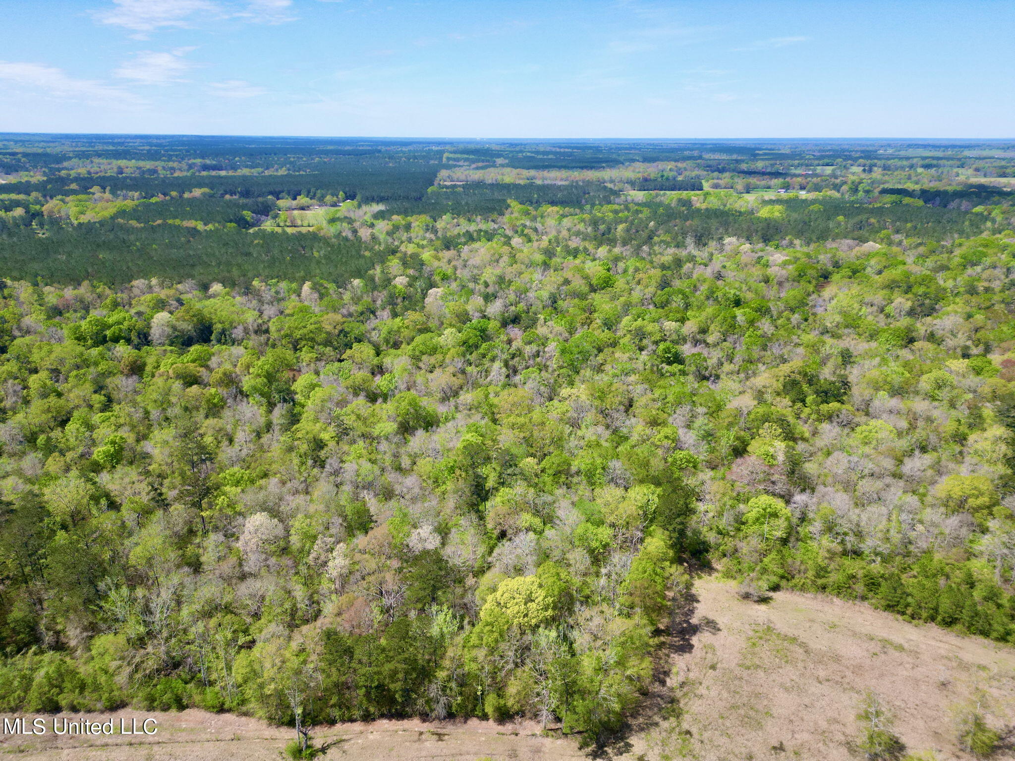 Egg Farm Road, Poplarville, Mississippi image 9