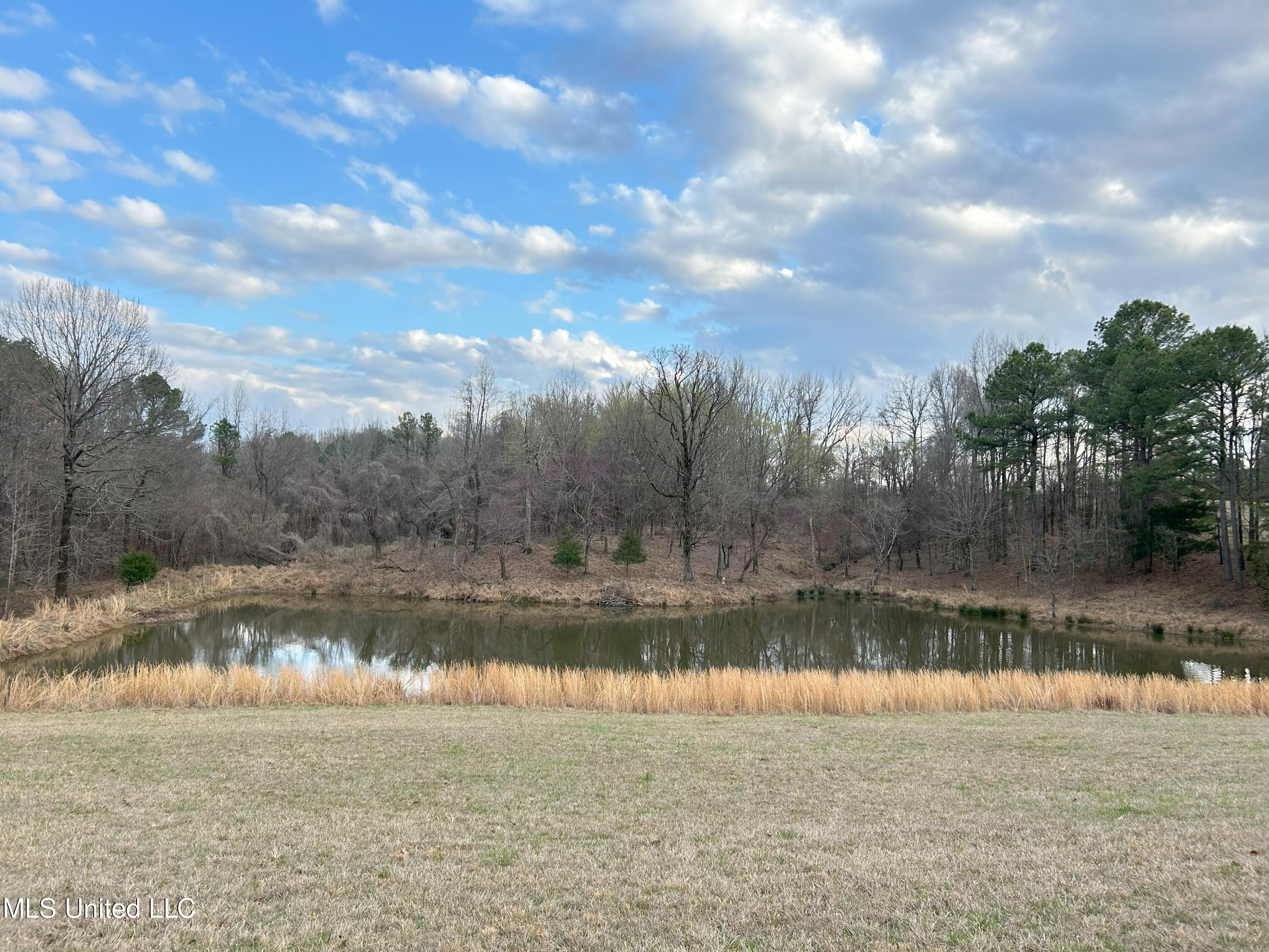 Teasdale Road, Enid, Mississippi image 16