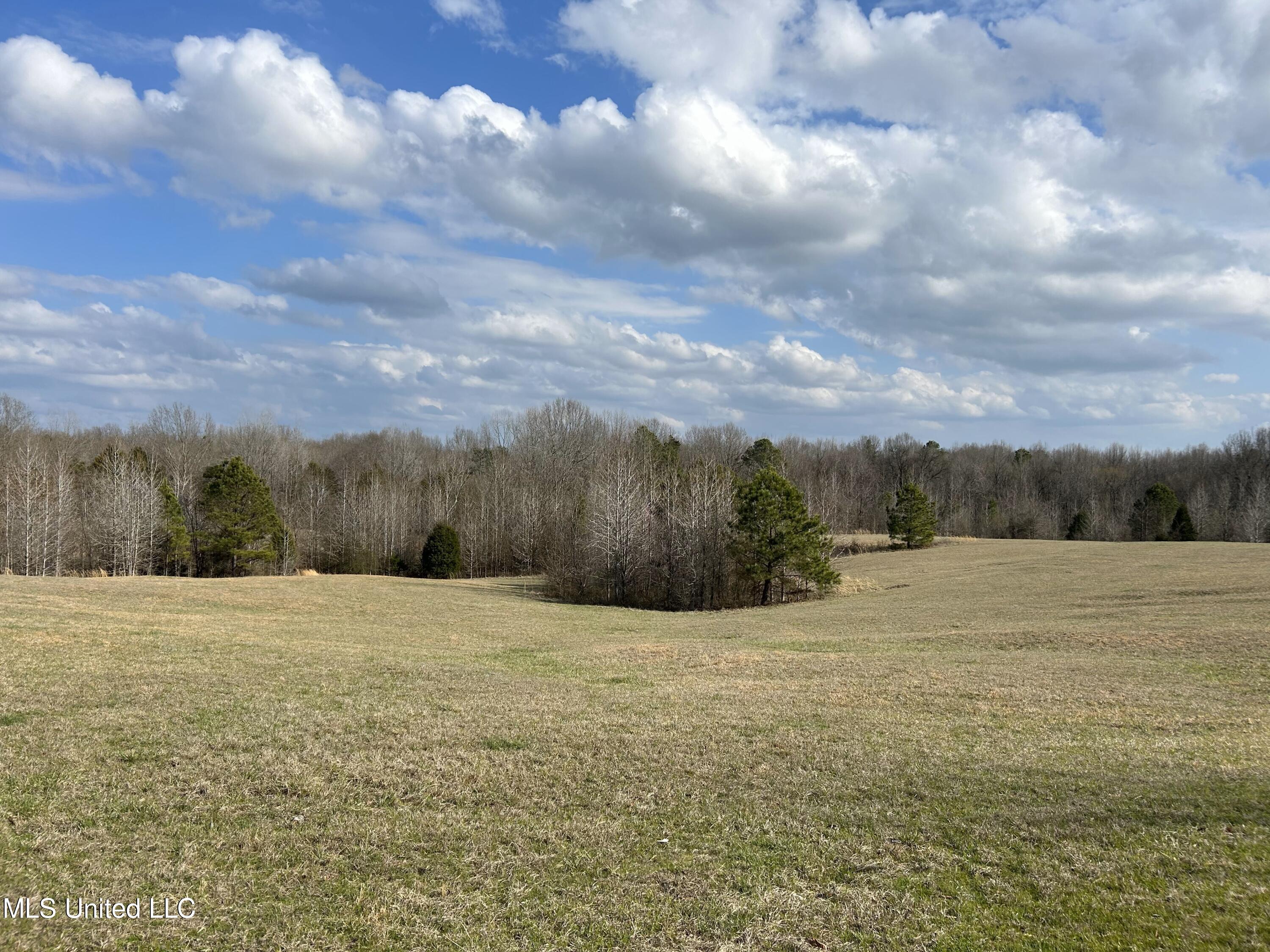 Teasdale Road, Enid, Mississippi image 4