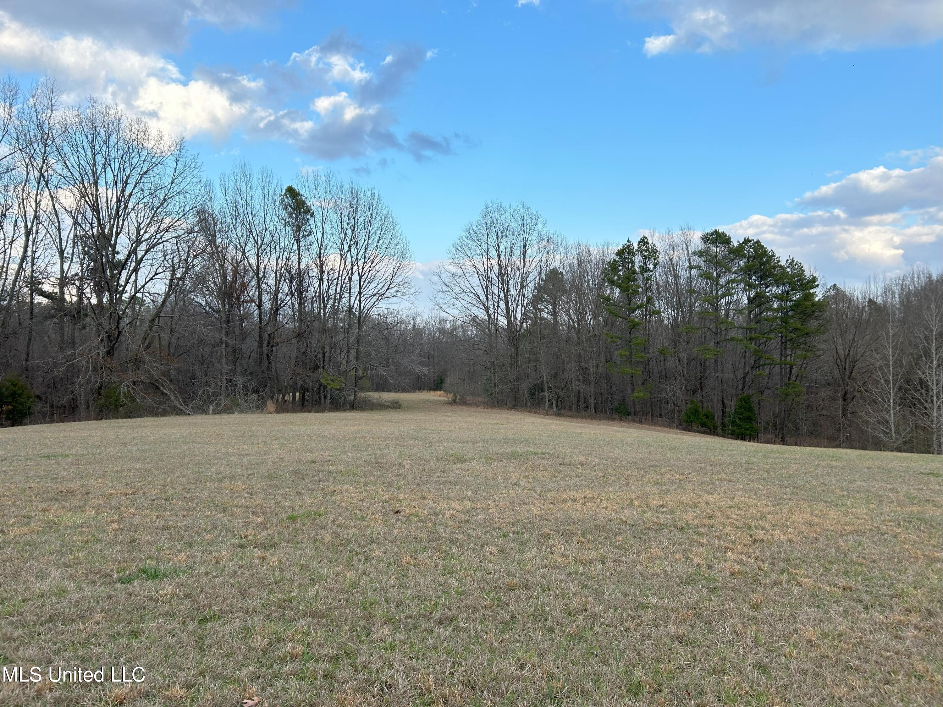 Teasdale Road, Enid, Mississippi image 3