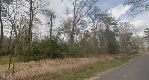 Vacant Land For Sale - Holly Drive<br/> Lucedale, MS 39452