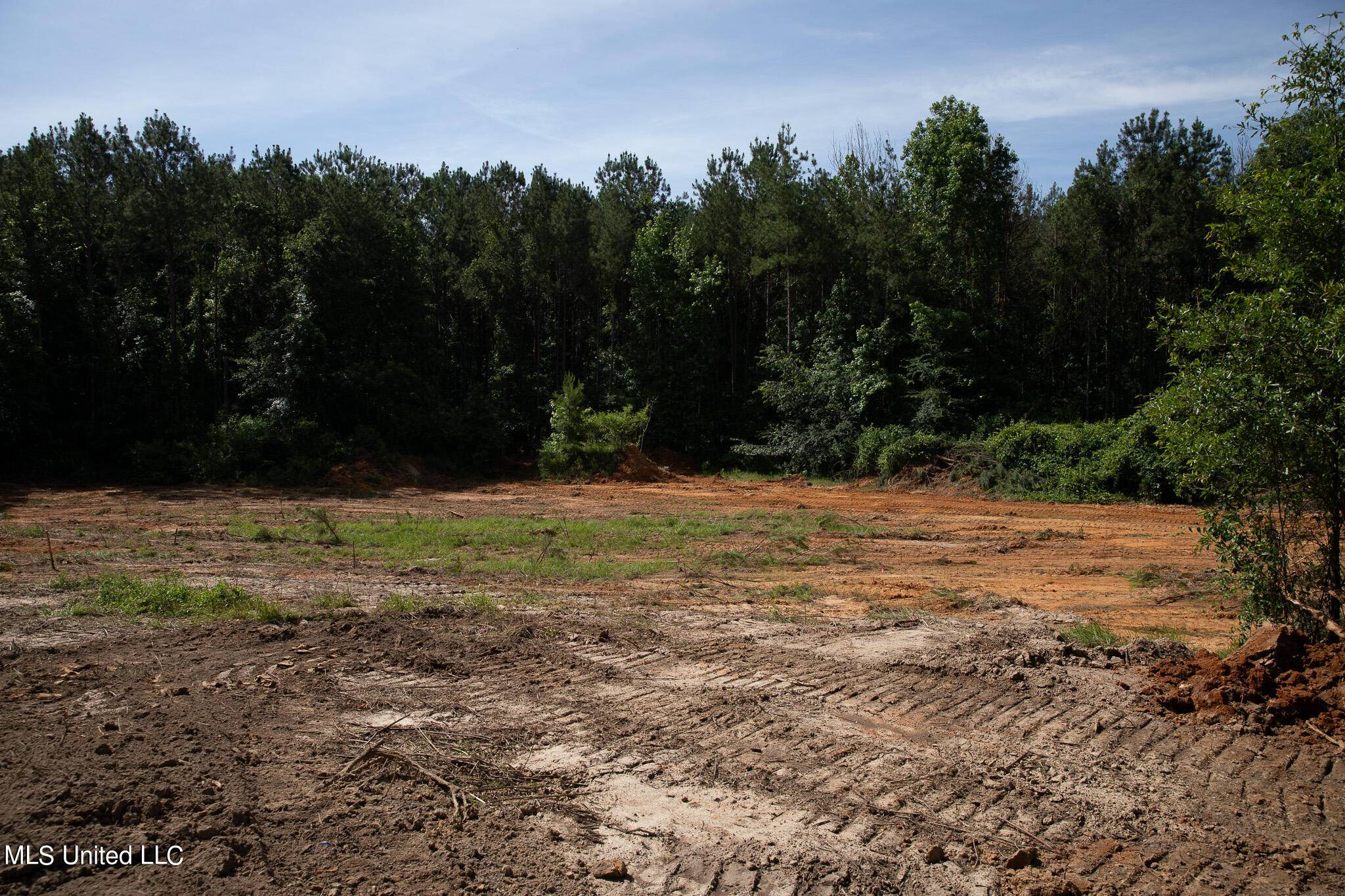 Hwy 18, Puckett, Mississippi image 7