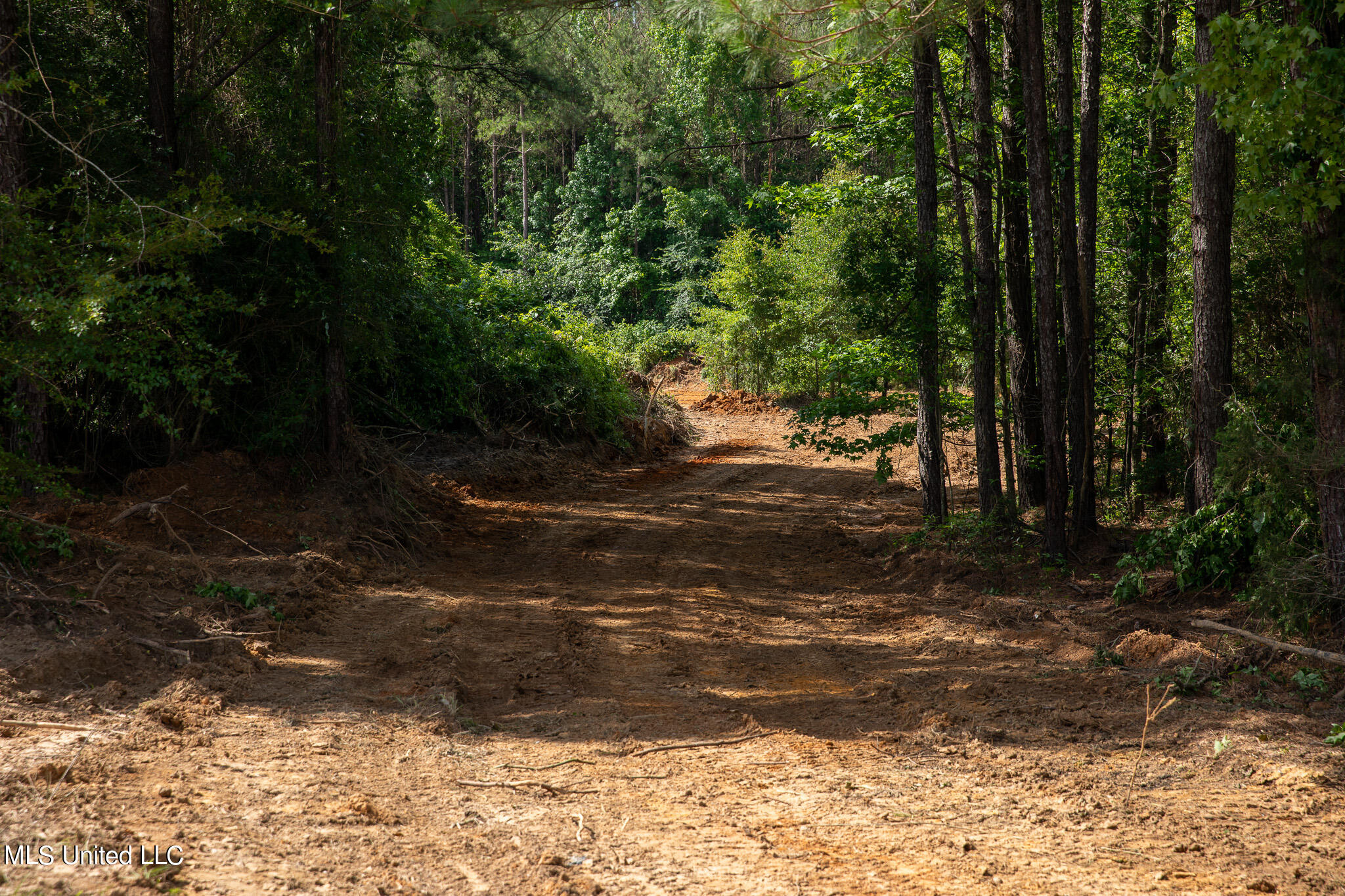 Hwy 18, Puckett, Mississippi image 4