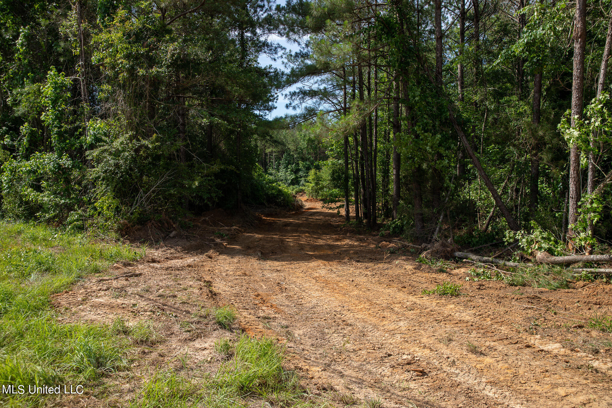 Hwy 18, Puckett, Mississippi image 3