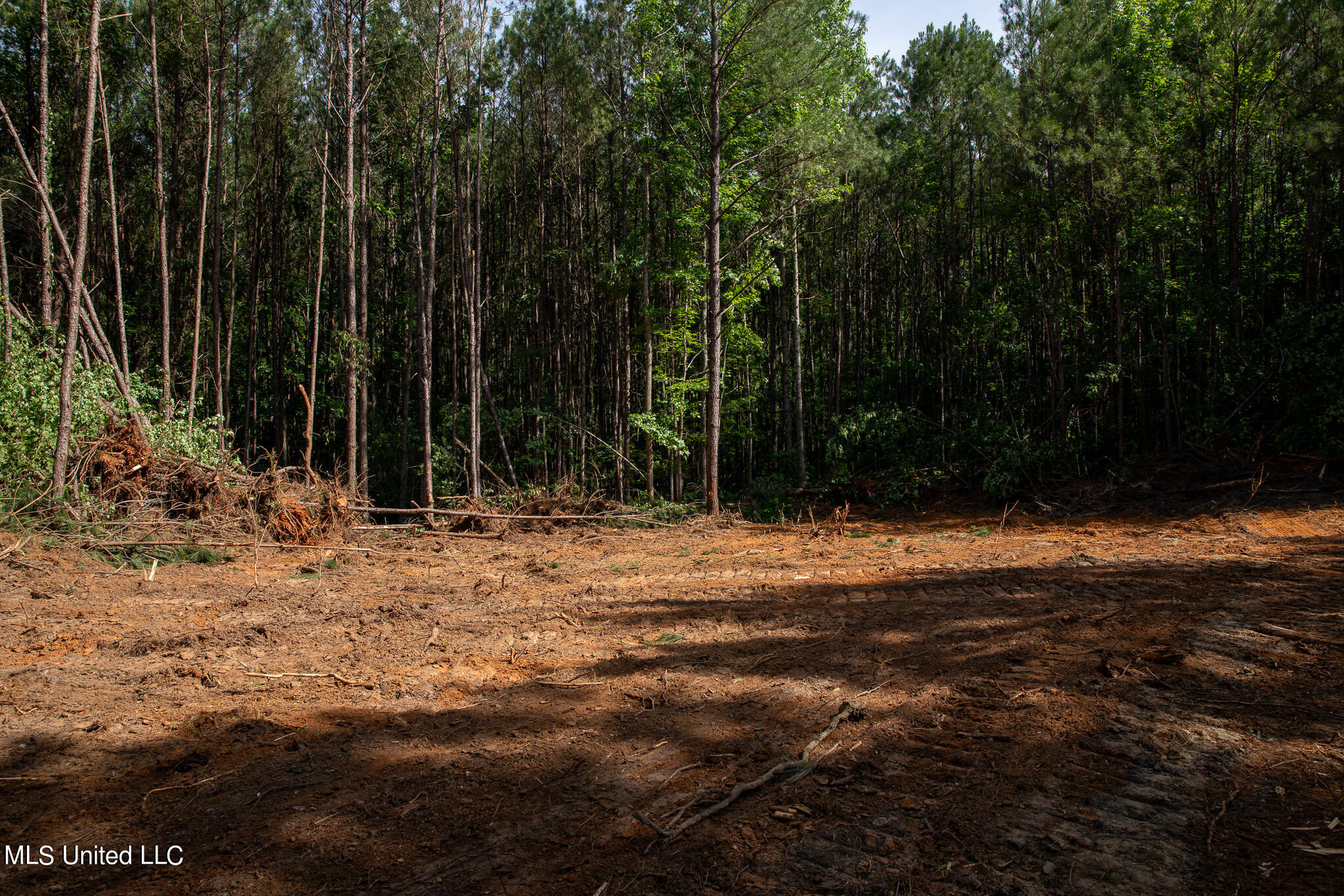 Hwy 18, Puckett, Mississippi image 19