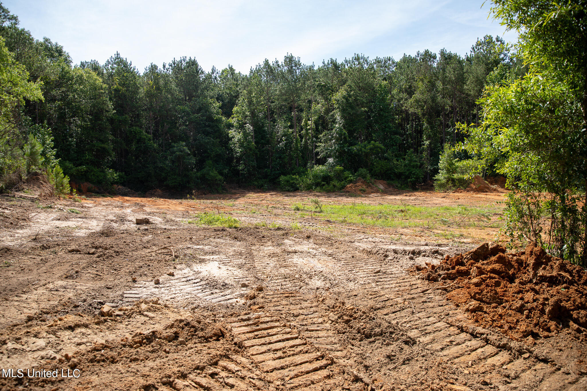 Hwy 18, Puckett, Mississippi image 5