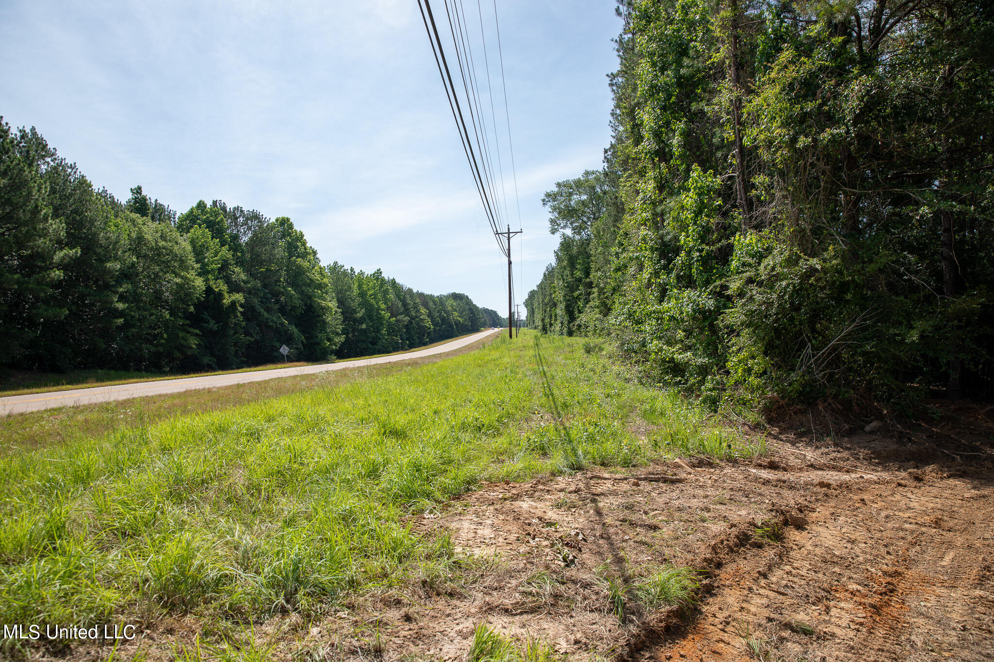 Hwy 18, Puckett, Mississippi image 9