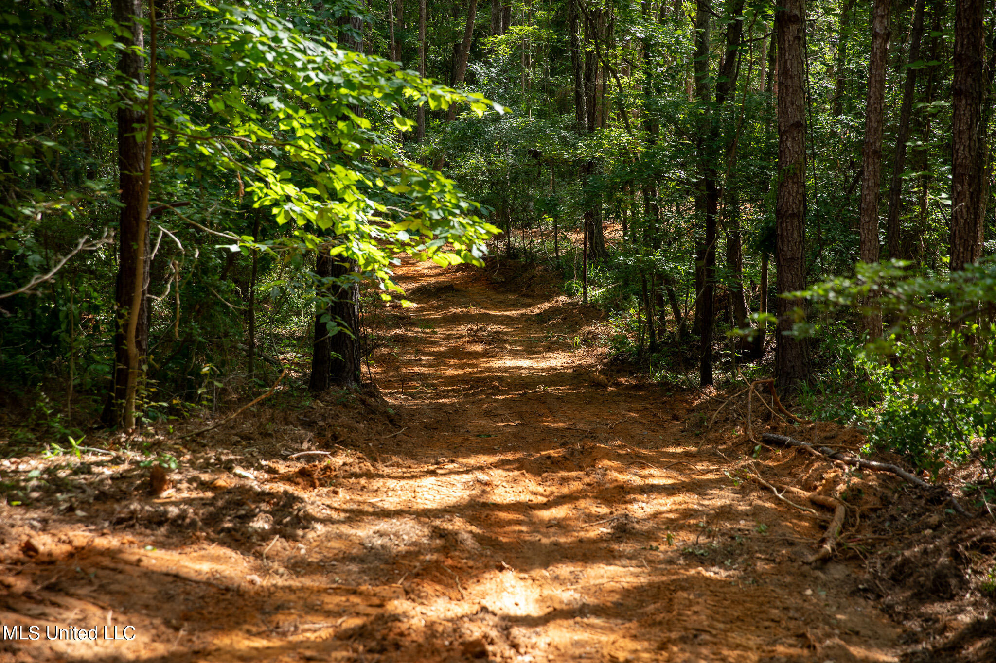 Hwy 18, Puckett, Mississippi image 21