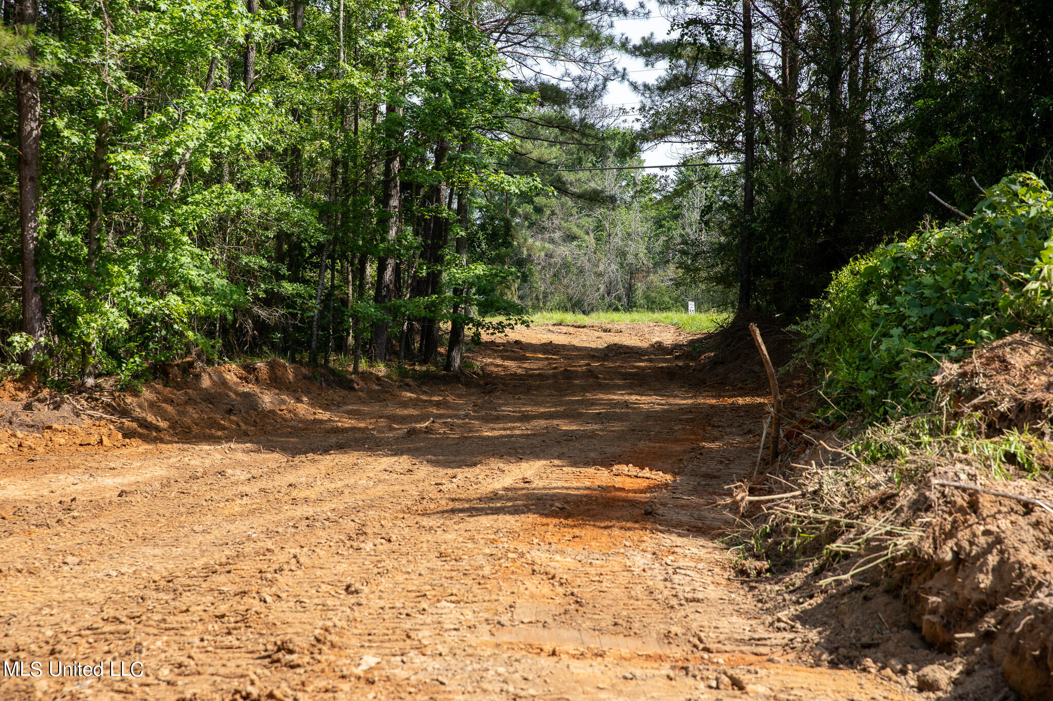 Hwy 18, Puckett, Mississippi image 8