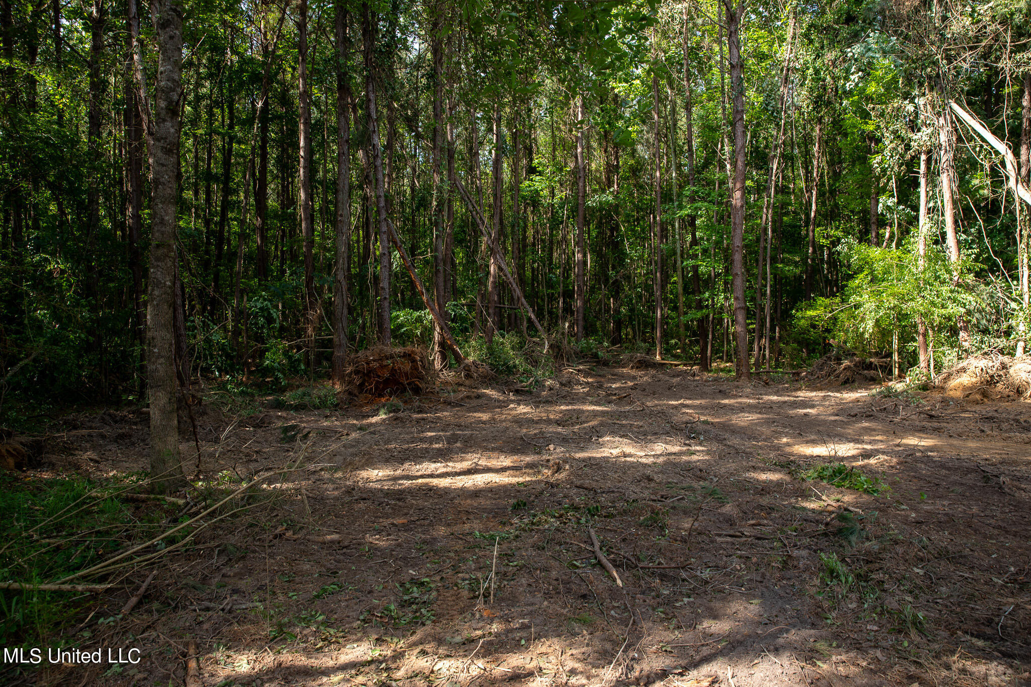 Hwy 18, Puckett, Mississippi image 15