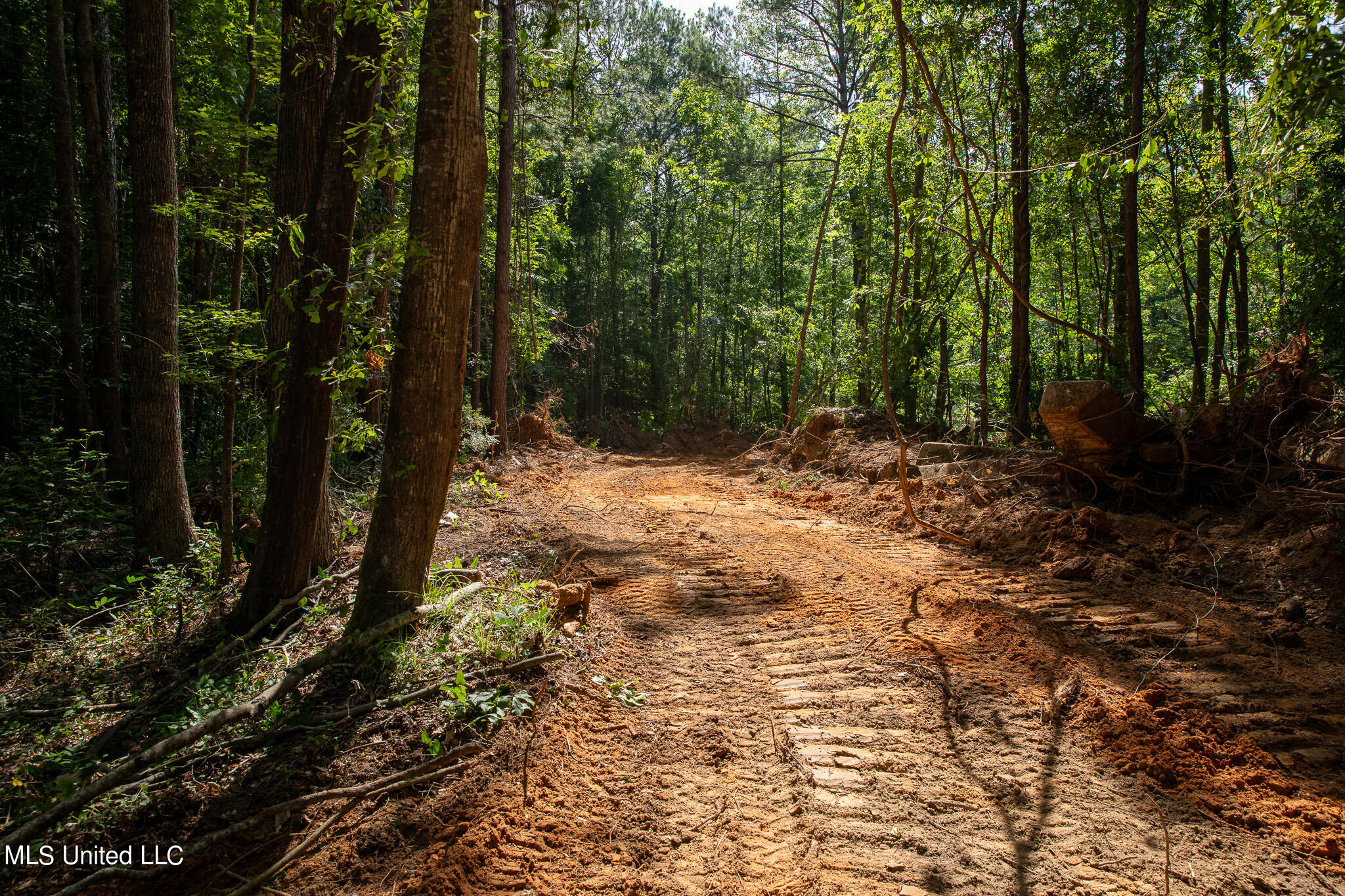 Hwy 18, Puckett, Mississippi image 17