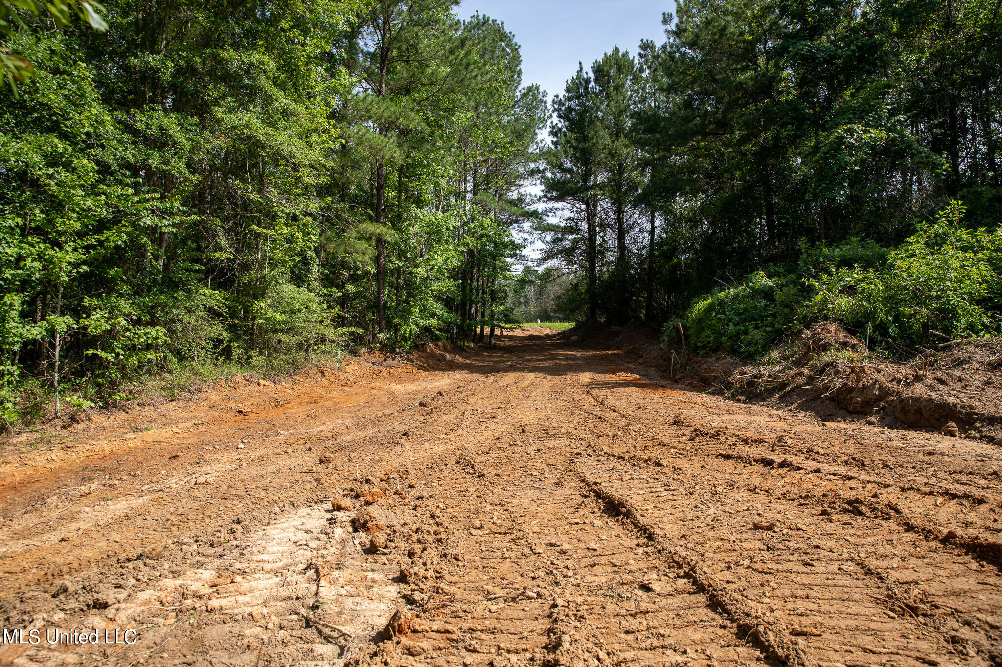 Hwy 18, Puckett, Mississippi image 6