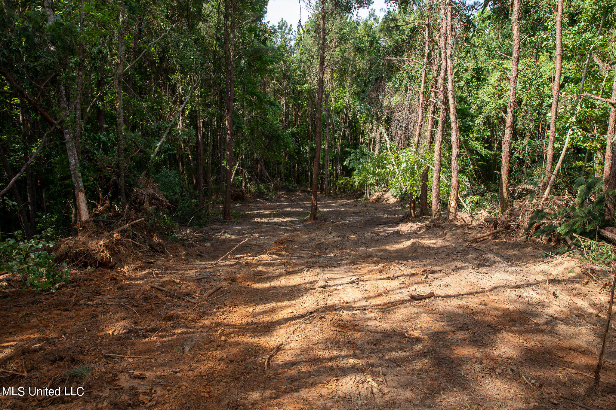 Hwy 18, Puckett, Mississippi image 11