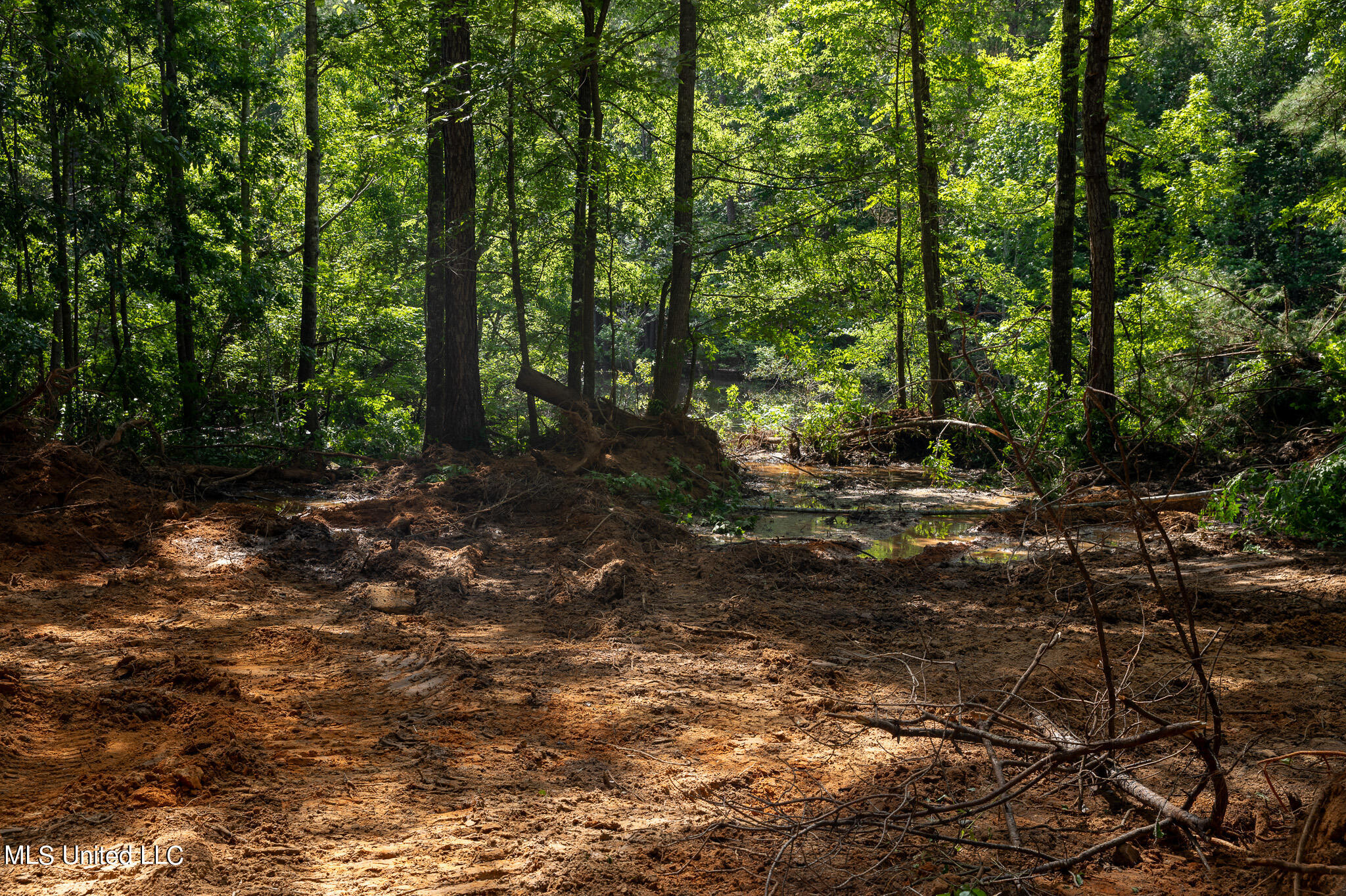 Hwy 18, Puckett, Mississippi image 14