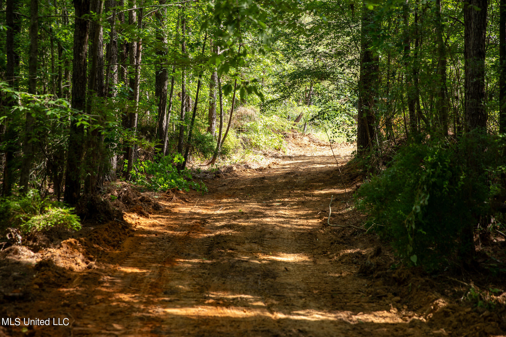 Hwy 18, Puckett, Mississippi image 18