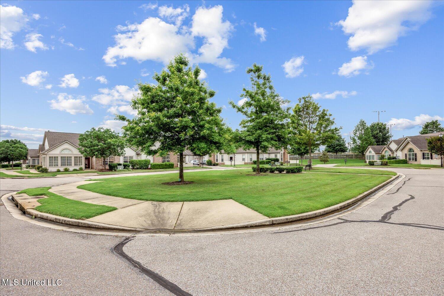 8761 Parkview Oaks Circle, Olive Branch, Mississippi image 27