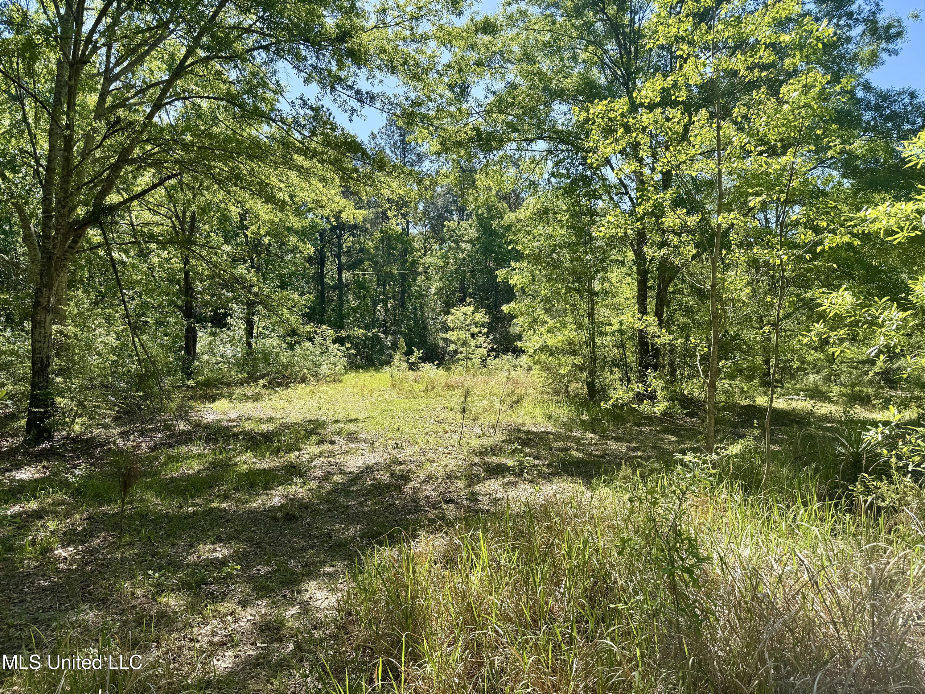 18161 Hudson Lane, Saucier, Mississippi image 5