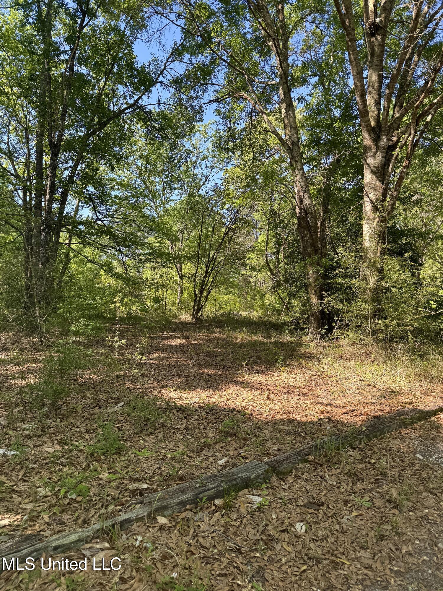 18161 Hudson Lane, Saucier, Mississippi image 1