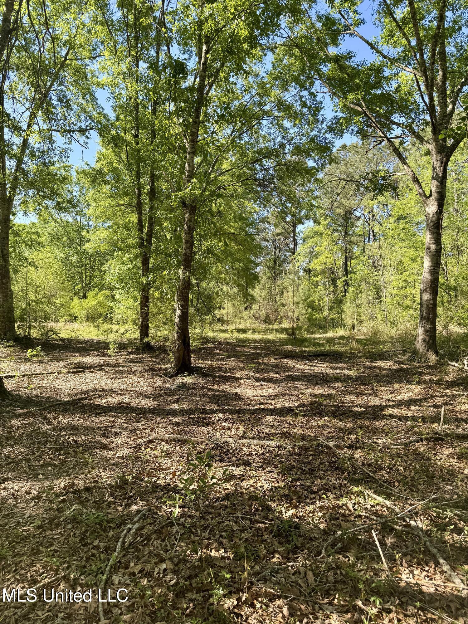 18161 Hudson Lane, Saucier, Mississippi image 4