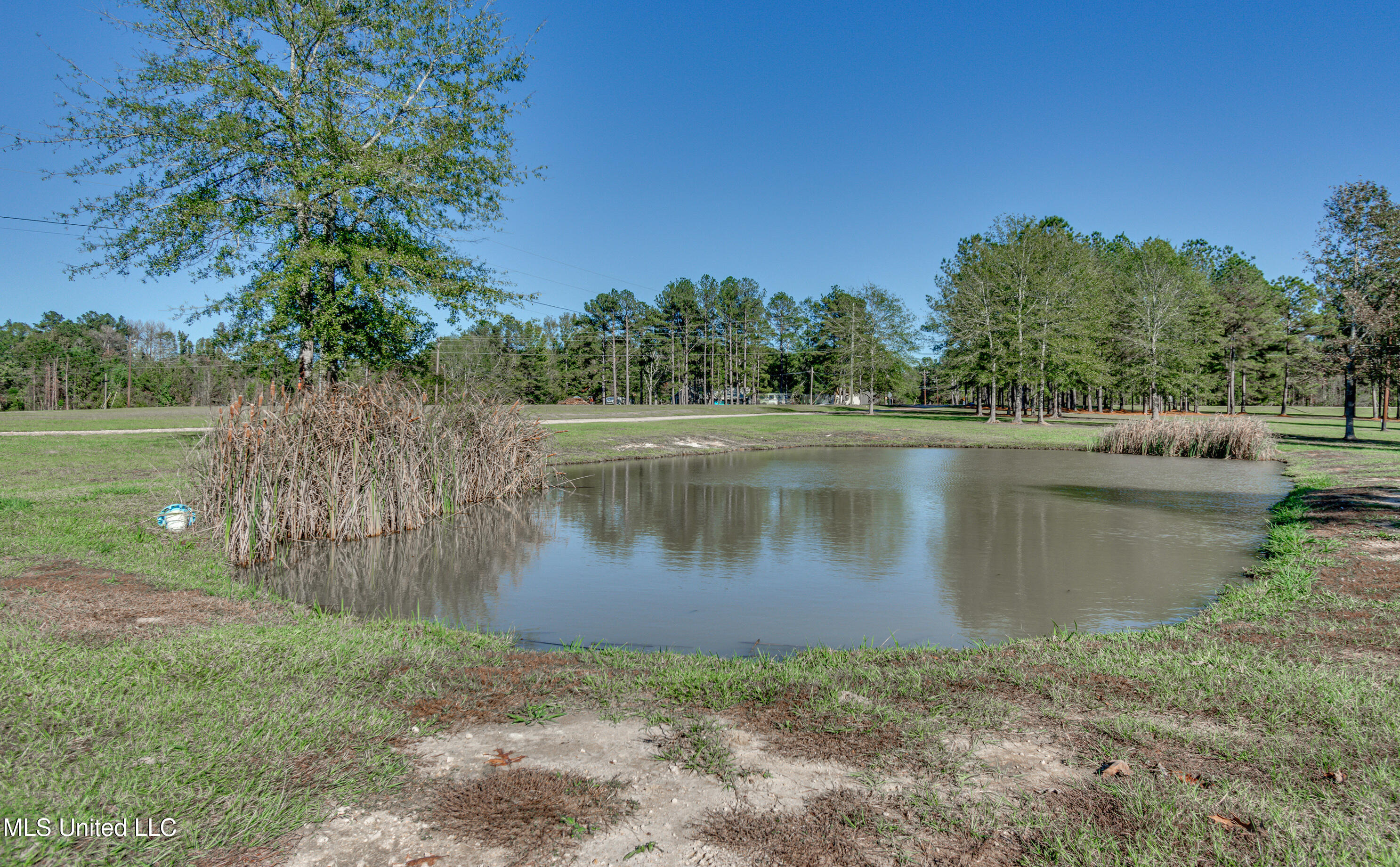 1274 Wade Patrick Road, Brandon, Mississippi image 7