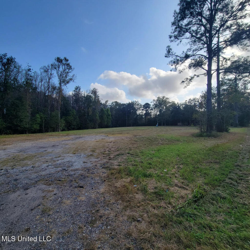 9402 Saracennia Road, Moss Point, Mississippi image 7