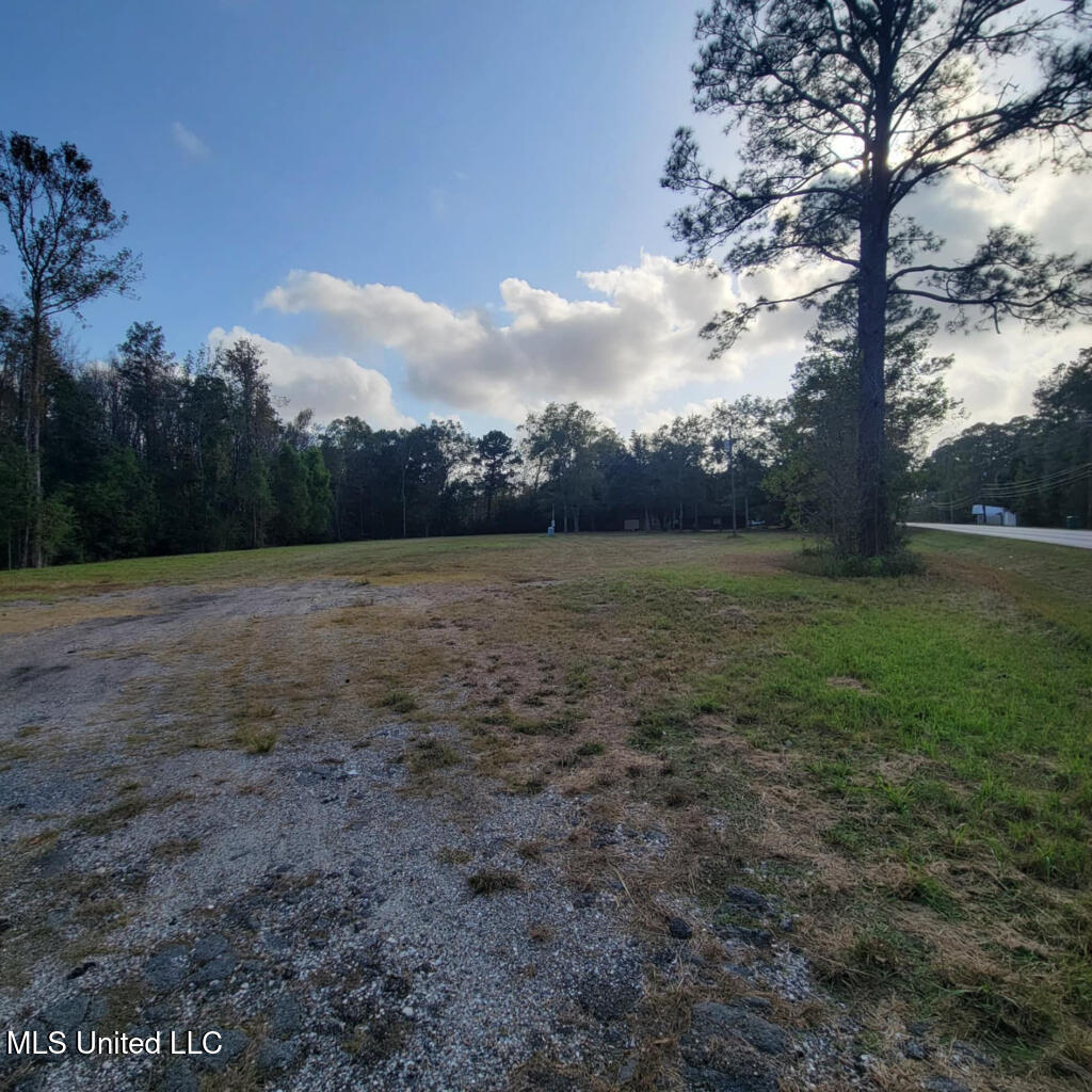 9402 Saracennia Road, Moss Point, Mississippi image 6