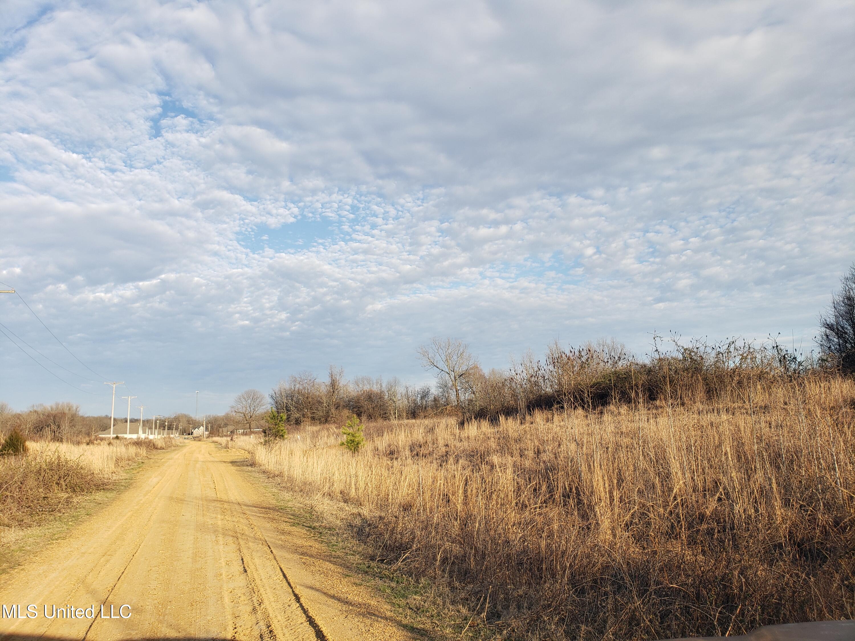 Rocky Creek Drive, Senatobia, Mississippi image 29