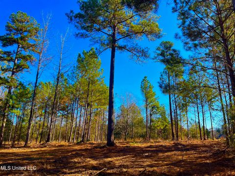 Vacant Land For Sale - 4001 Stegall Road<br/> Wesson, MS 39191