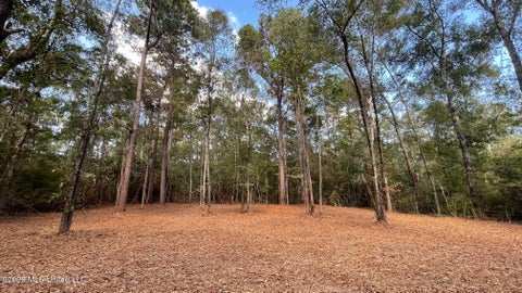 Vacant Land For Sale - Old Hwy 49<br/> Saucier, MS 39574