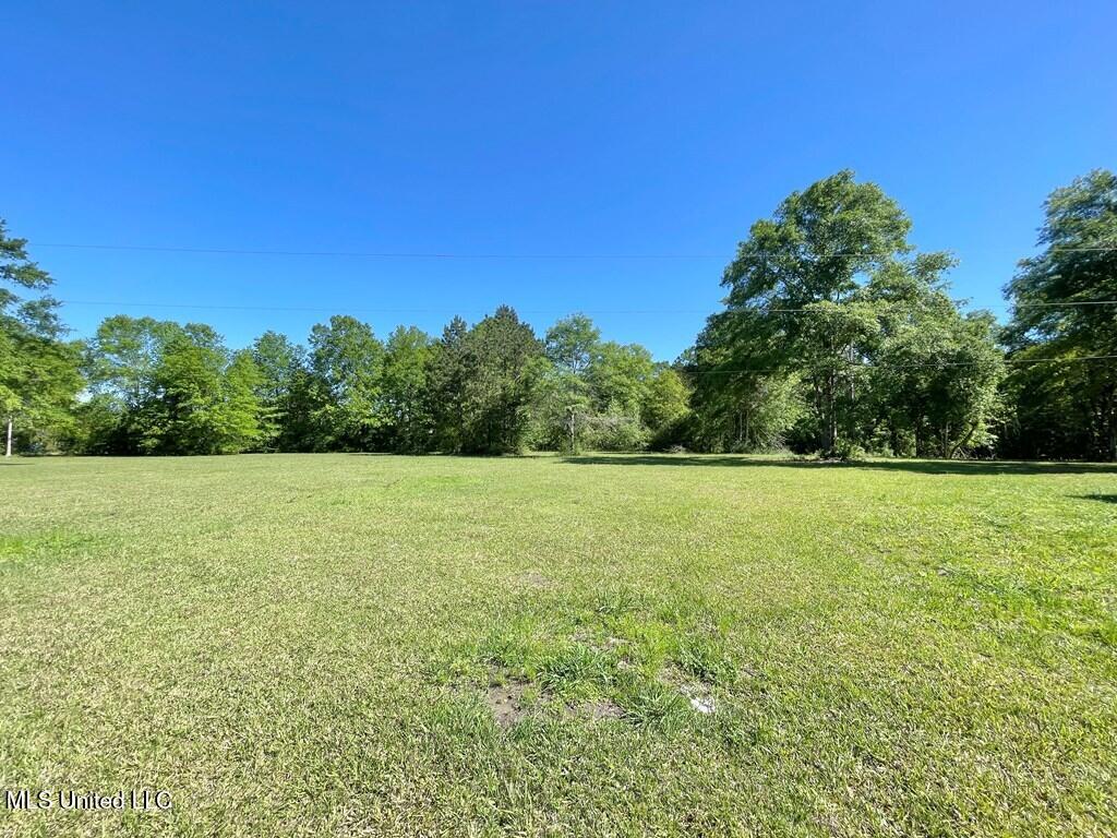 7961 Hwy 11, Carriere, Mississippi image 31