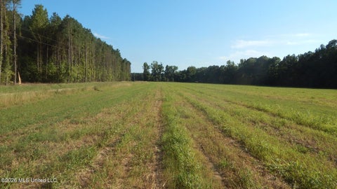 Vacant Land For Sale - Co Rd 247<br/> Bruce, MS 38915