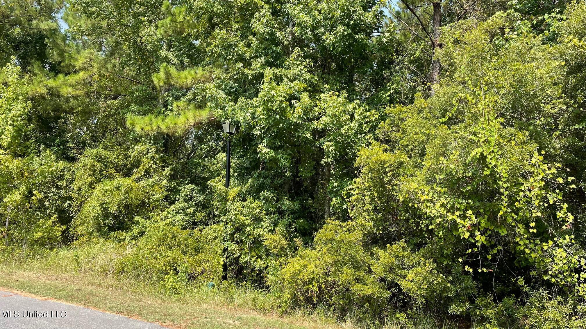 Tranquil Lake Drive, Gulfport, Mississippi image 8