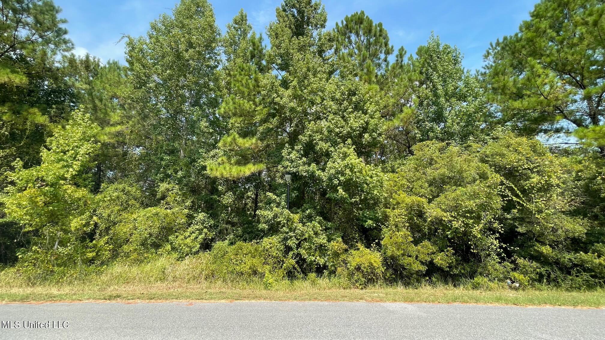 Tranquil Lake Drive, Gulfport, Mississippi image 1