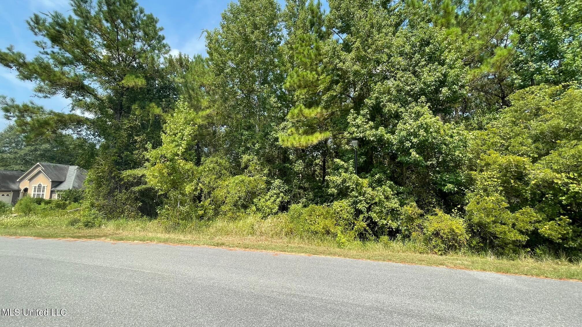 Tranquil Lake Drive, Gulfport, Mississippi image 2