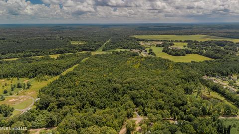 Vacant Land For Sale - 000 Dog Pen Rd<br/> Durant, MS 39063