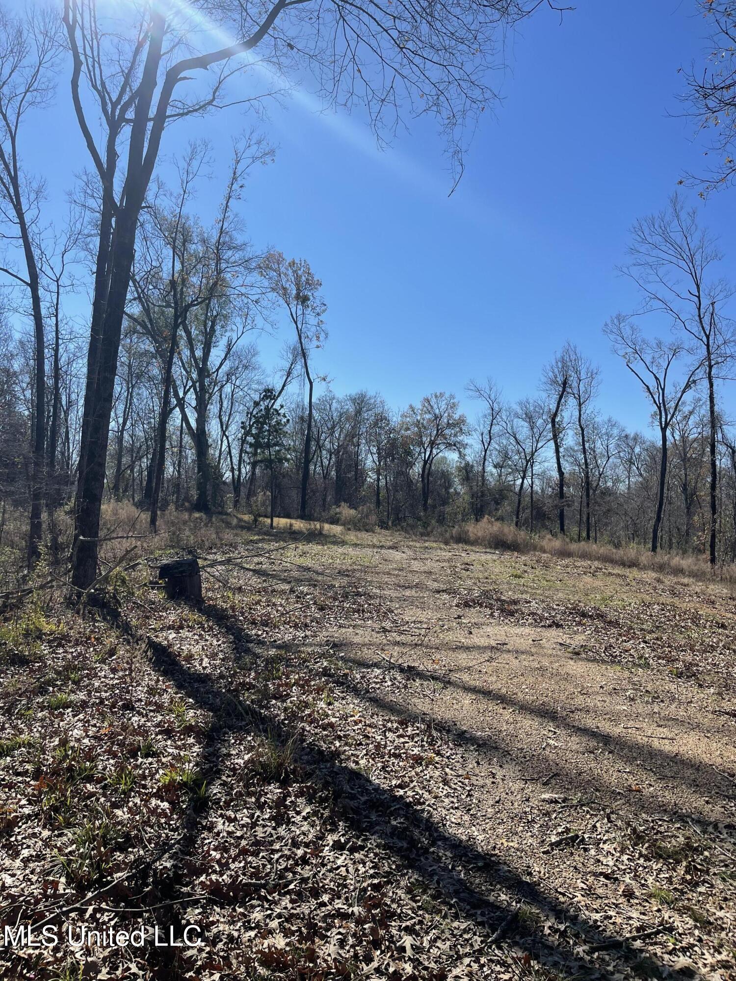 137 Robins Lake Road, Natchez, Mississippi image 9