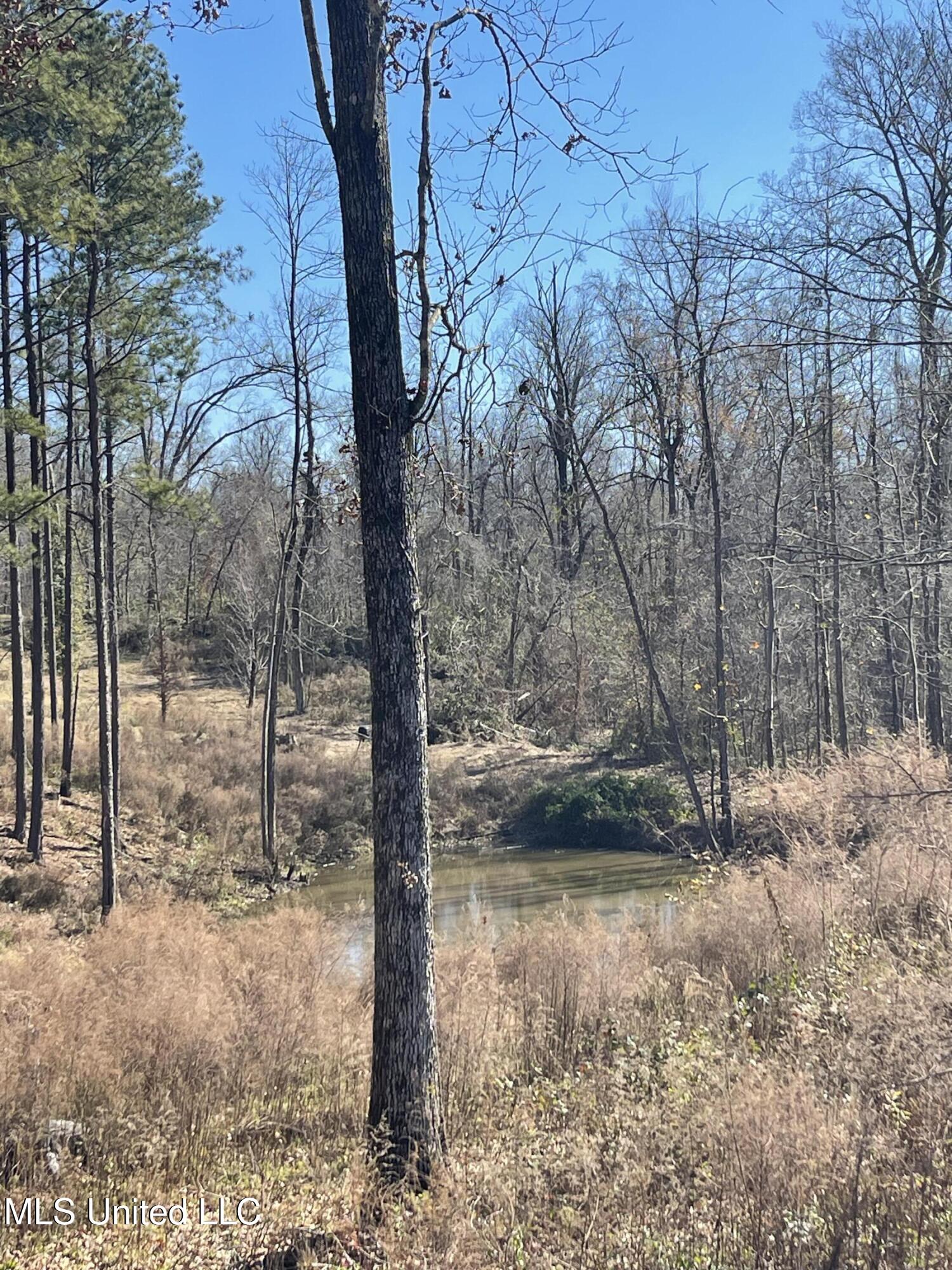 137 Robins Lake Road, Natchez, Mississippi image 11